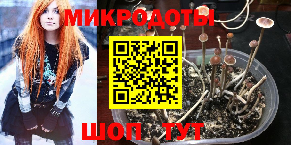 Галлюциногенные грибы GOLDEN TEACHER Кириши