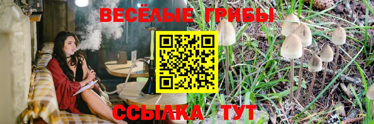 Псилоцибиновые грибы Magic Shrooms  Вход с VPN  Кириши 